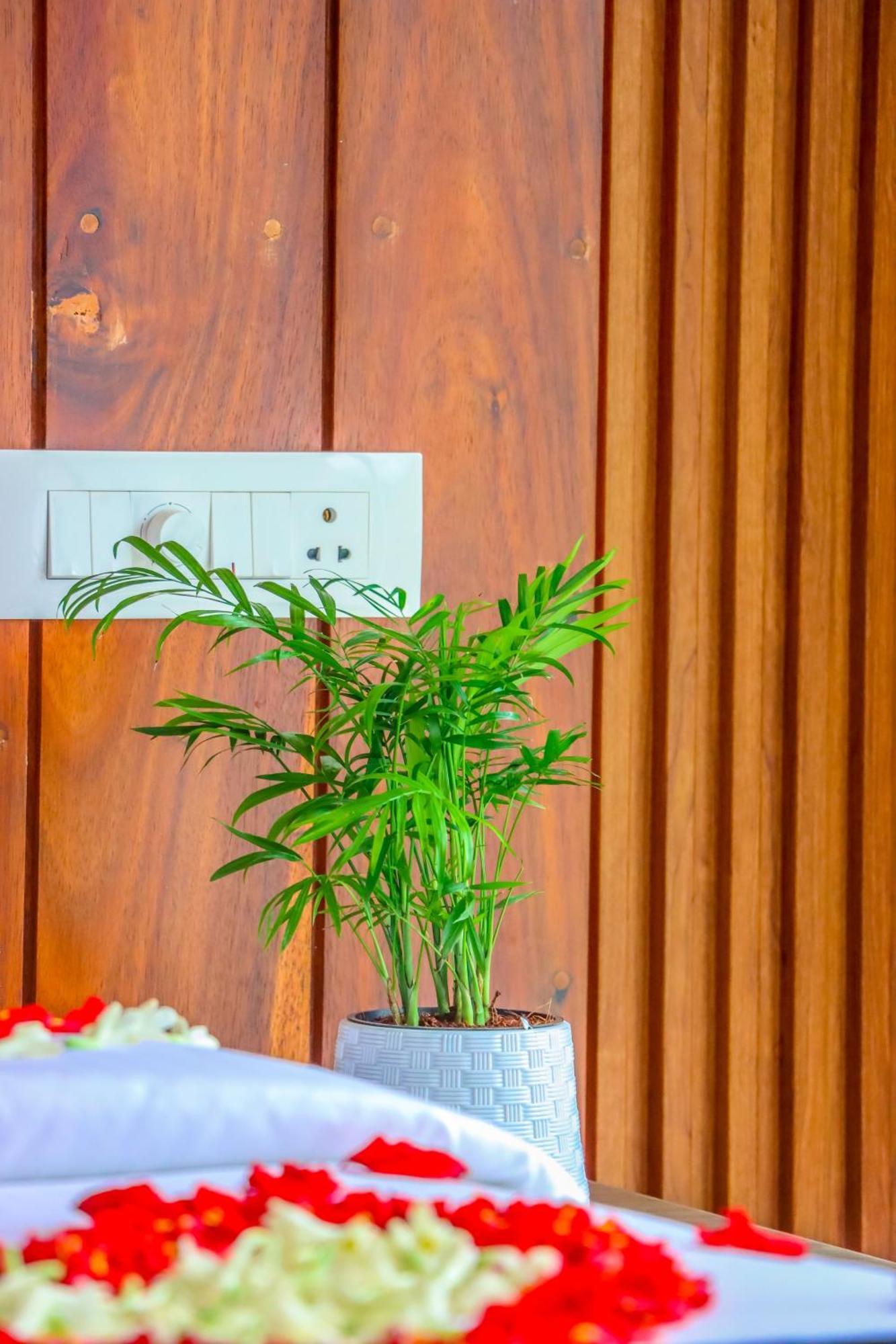 Winter Note Resorts Munnar Eksteriør bilde