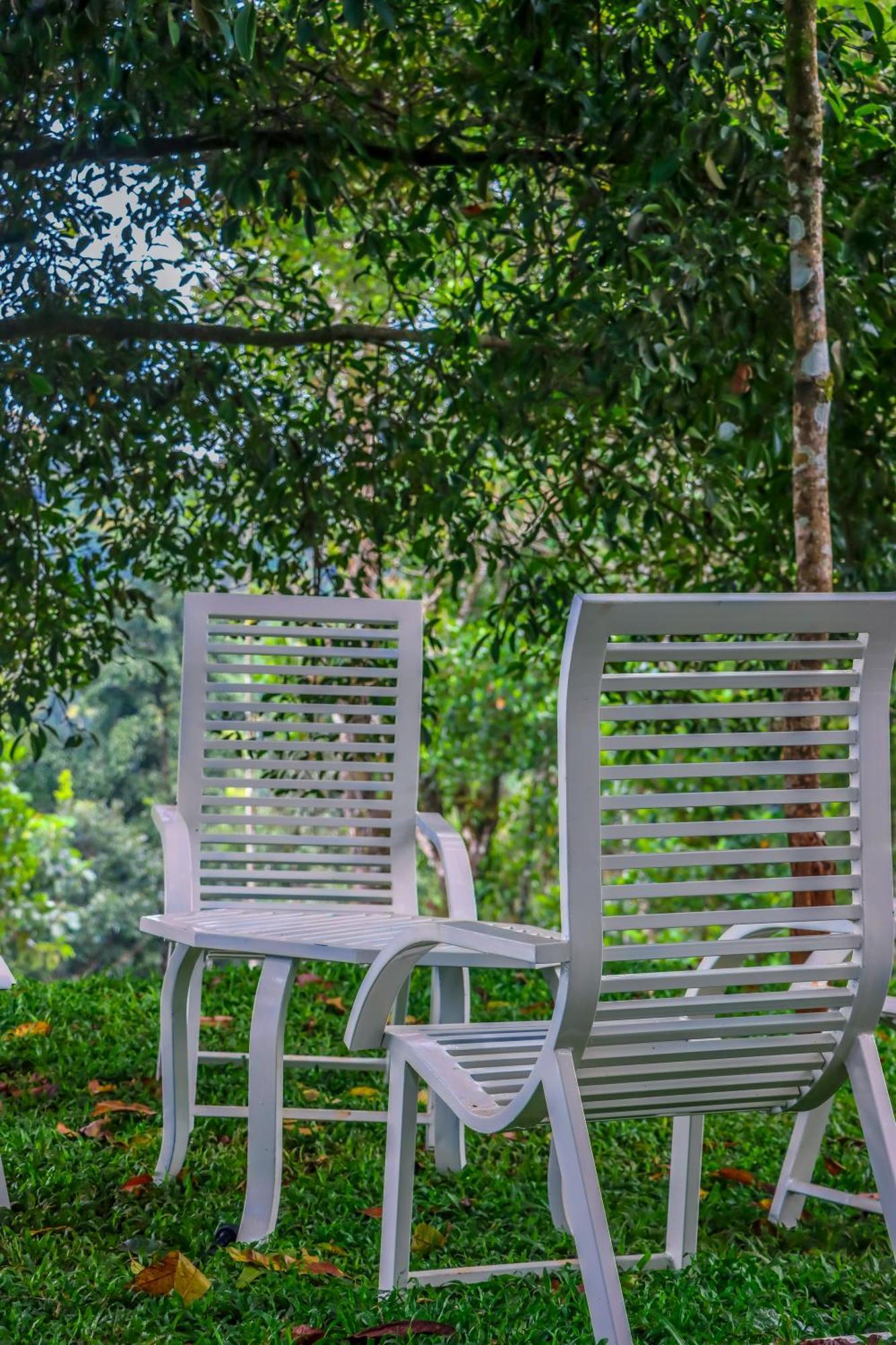 Winter Note Resorts Munnar Eksteriør bilde
